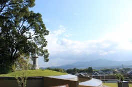 img_0624